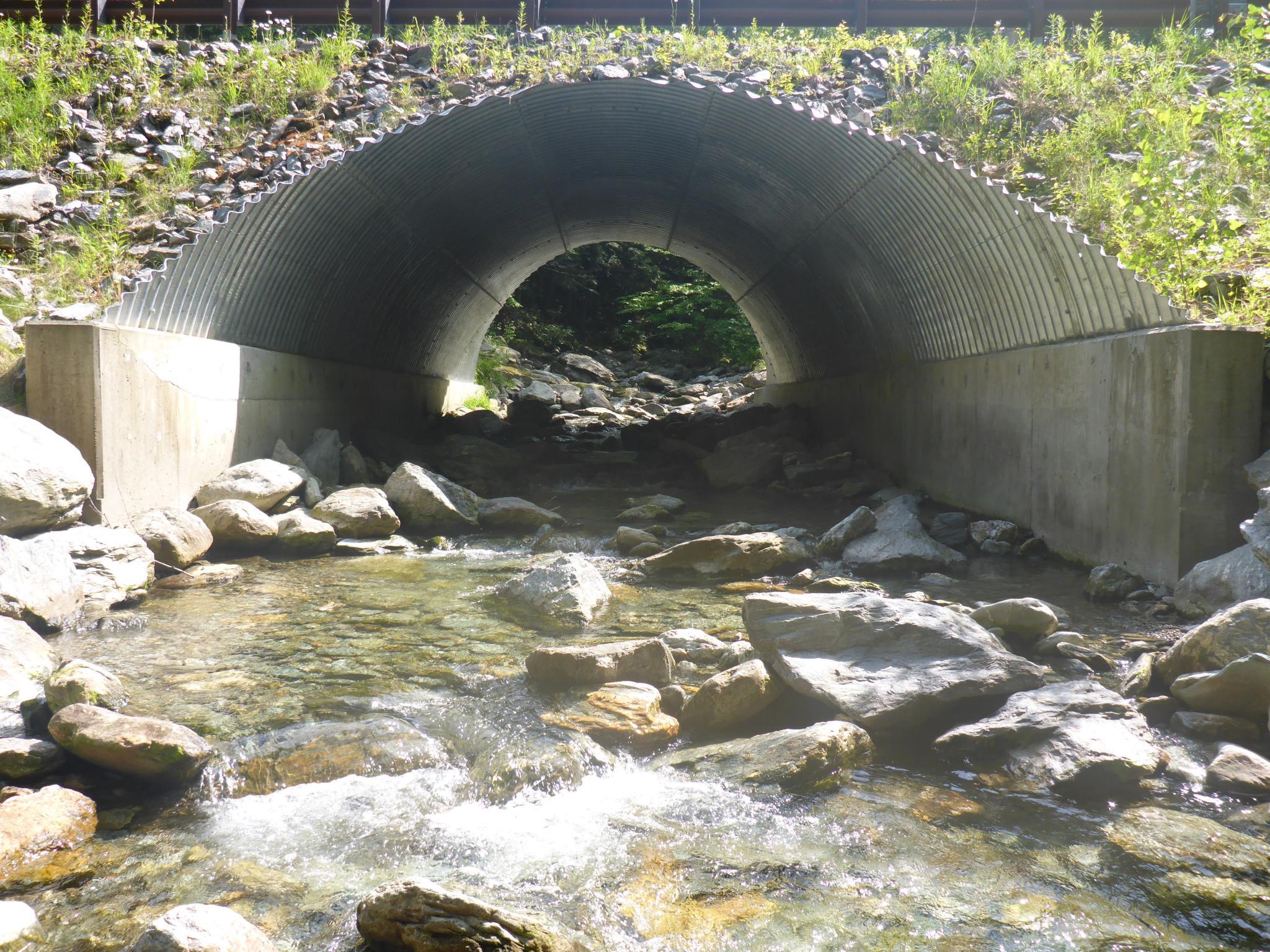 Shallow stream flows into a culvert