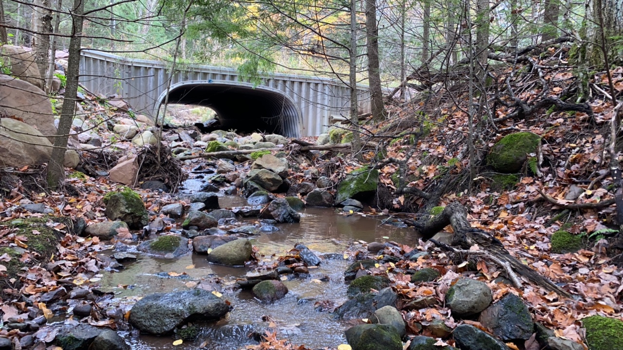 Shallow stream flows into a culvert