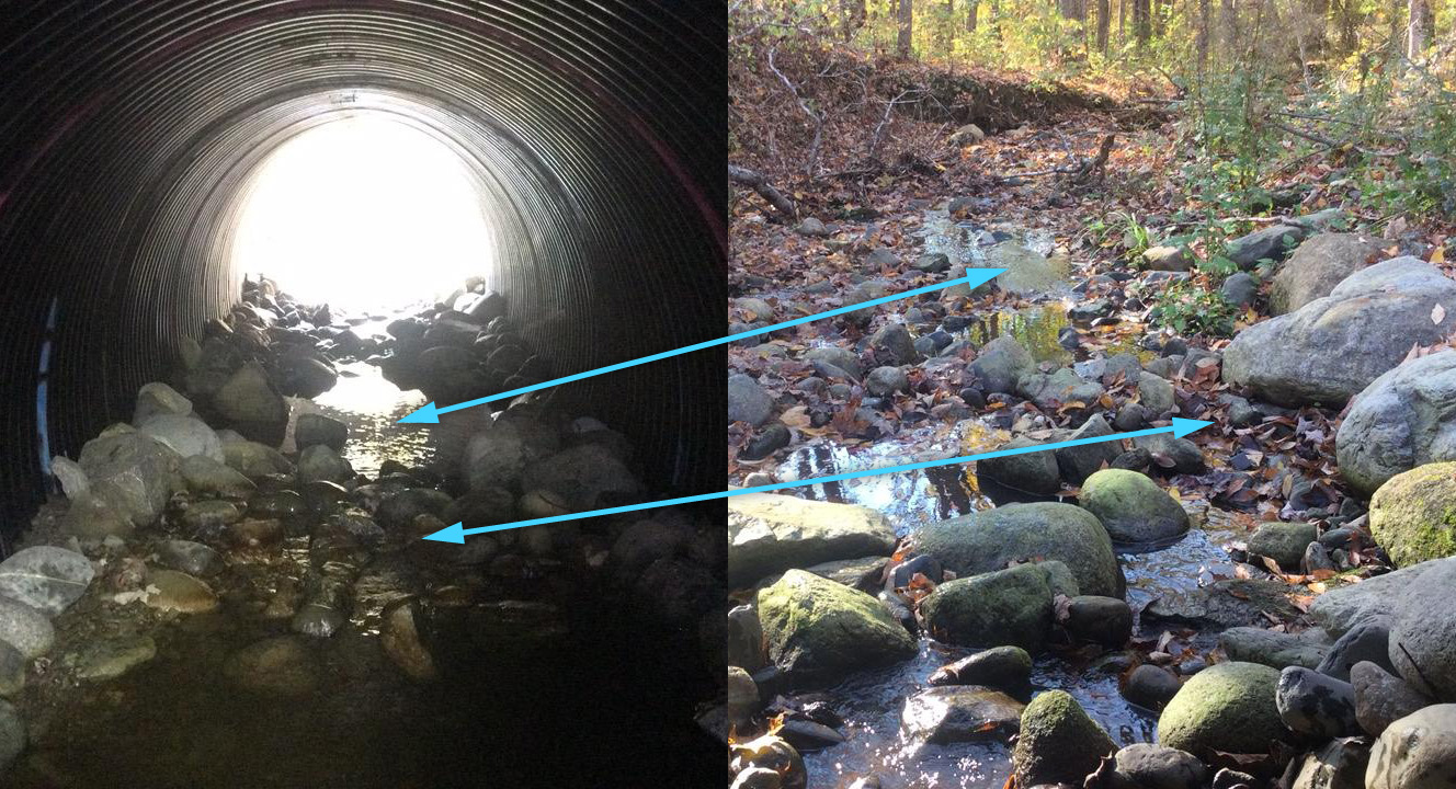 The left picture of these two photos shows the interior of an AOP culvert with two deep water pool areas connected by a shallow flowing area. The right picture shows a natural channel area depicting deep water pools connected by shallow flowing areas. Arrows are drawn connecting the deep water pool areas and shallow flowing areas between the two photos.